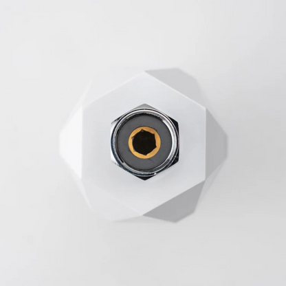 Shower Purifier Pro